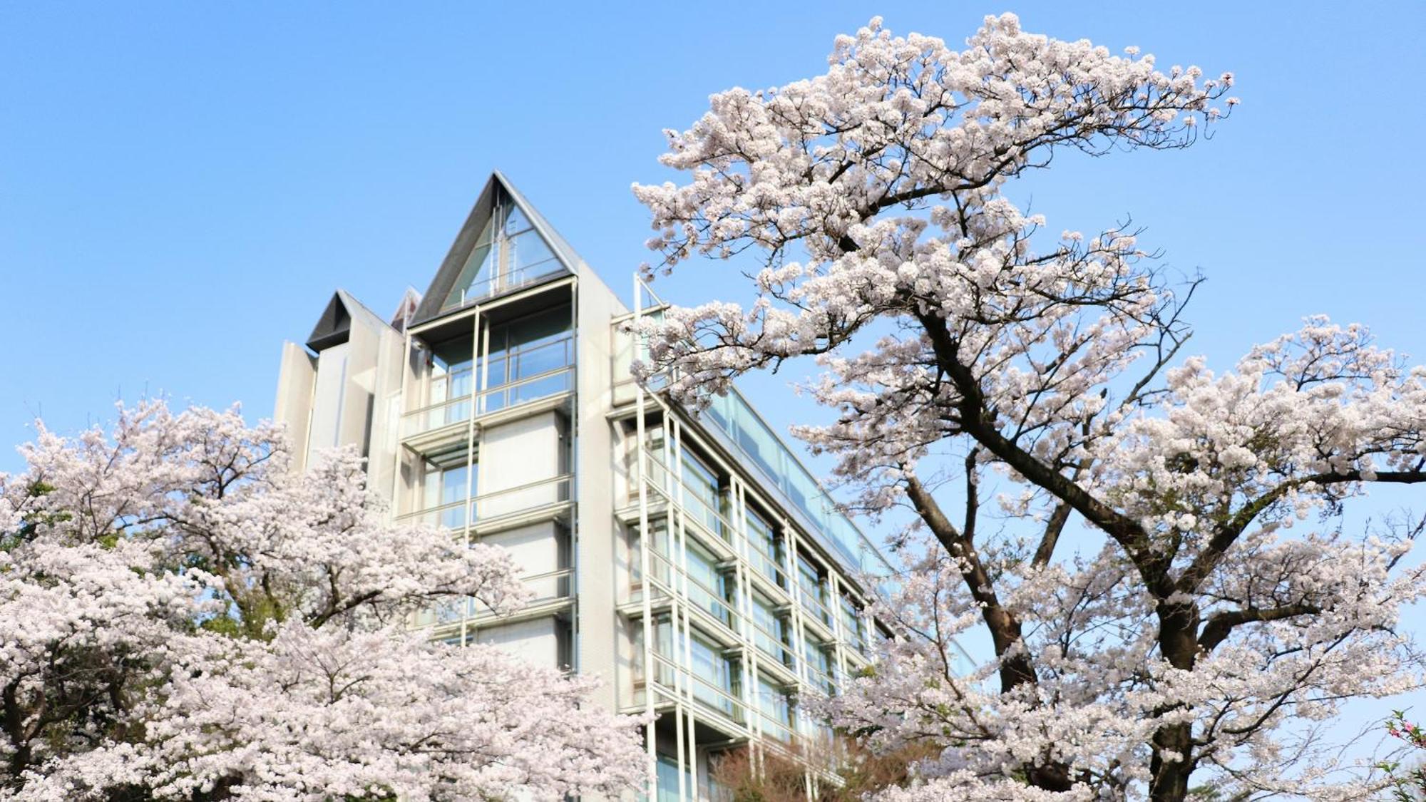 เรียวกัง คิกุซุยเต Higashimurayama ภายนอก รูปภาพ